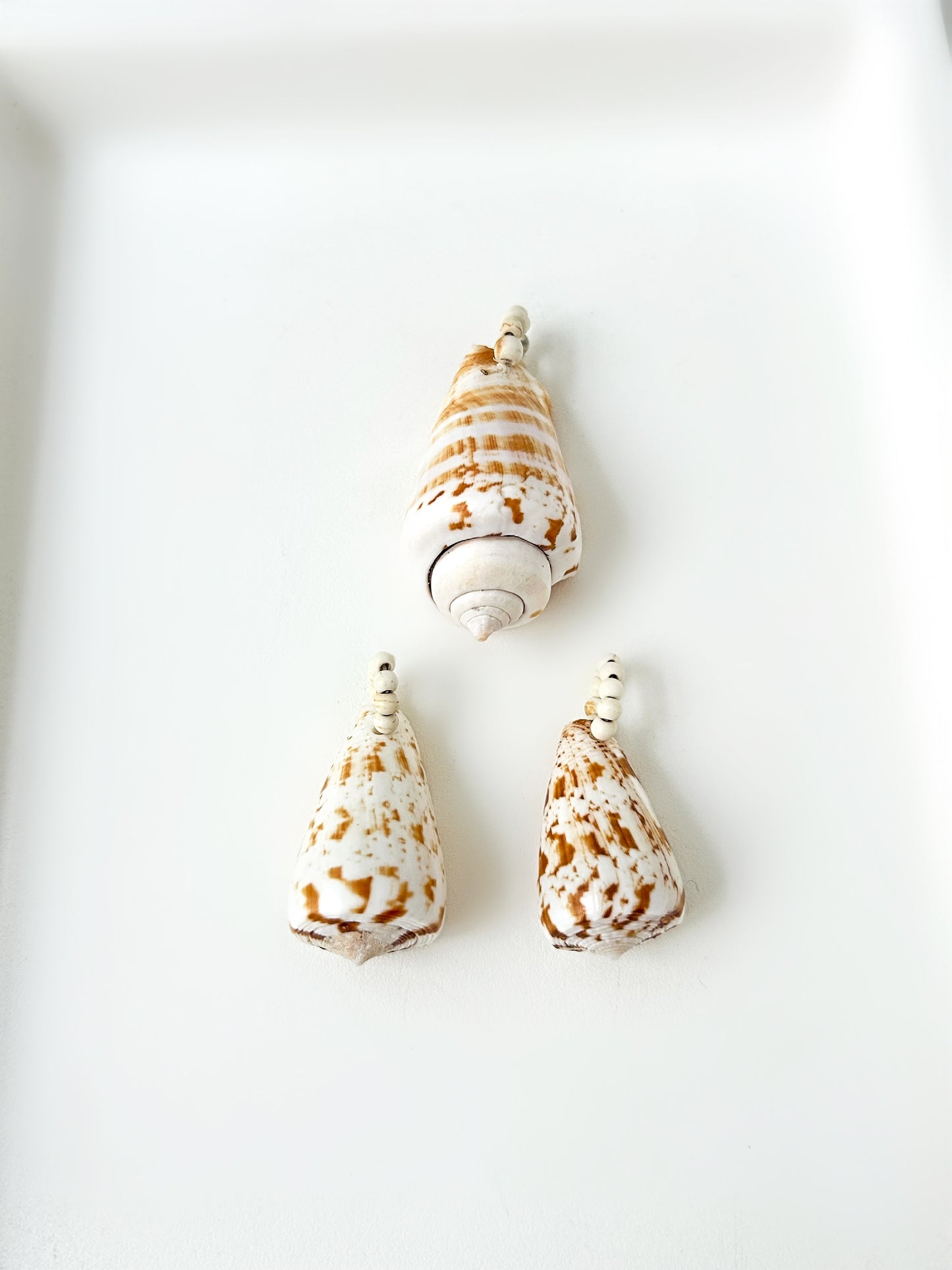 Charm Caracola